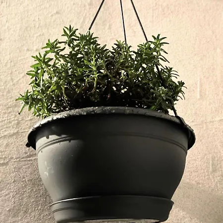 Le Charme D'antan - Terrasse - Balcon - Hypercentre *