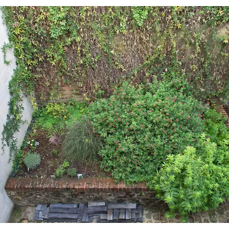 Le Charme D'antan - Terrasse - Balcon - Hypercentre *